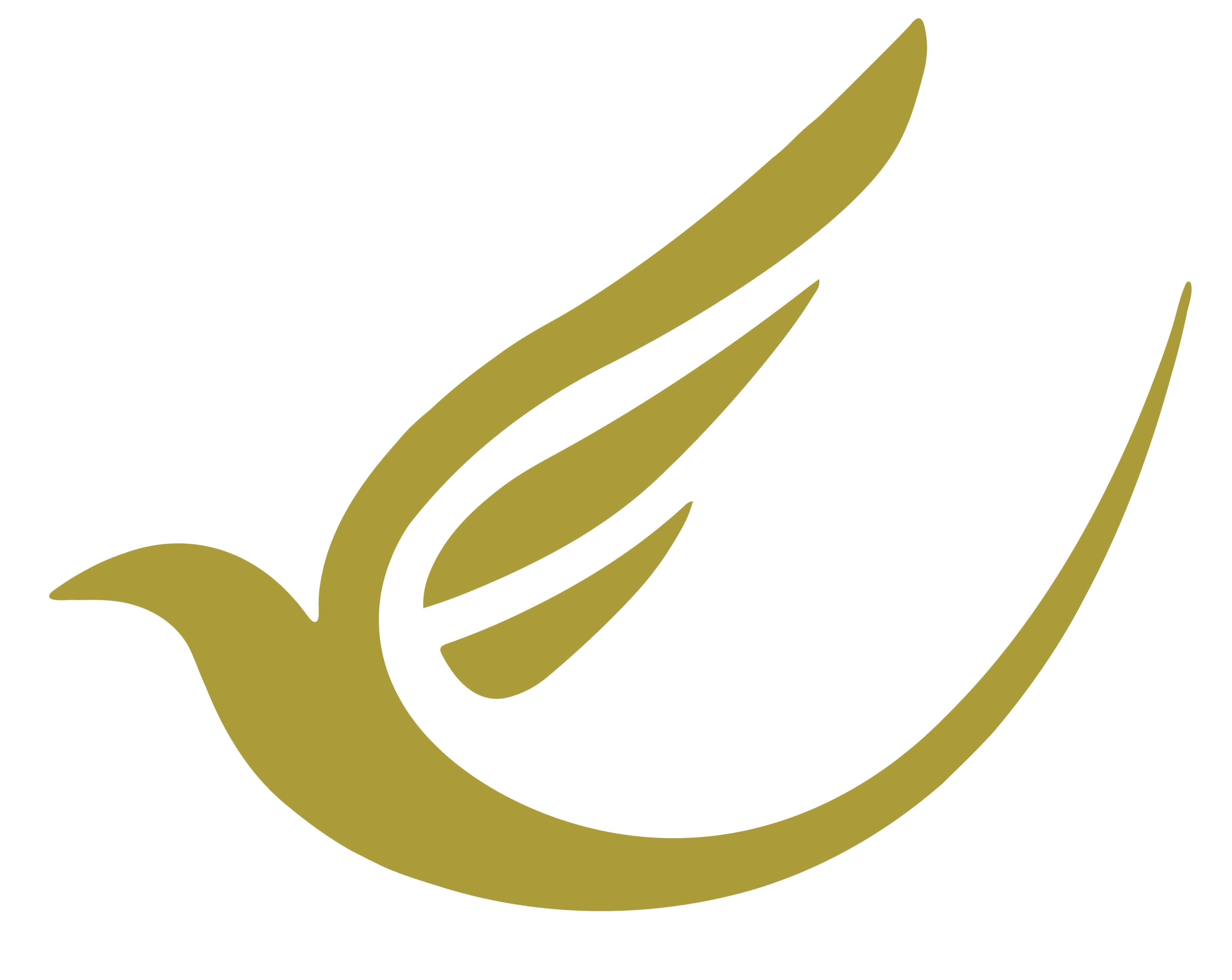 Dreamvihari Trips Logo